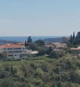 Maisons de vacances Maison traditionnelle sur les collines Nicoises : photos des chambres