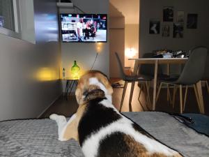 Casa da Eirinha - Azibo