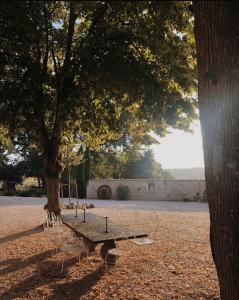 Maisons de vacances Chateau de Pleneselve : photos des chambres