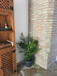La casa vieja de Marchenilla