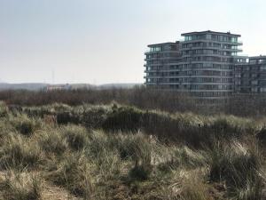 The One - New luxury beachfront apartment