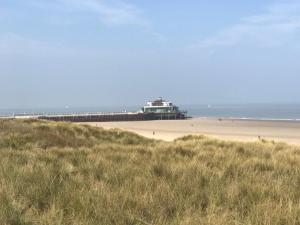 The One - New luxury beachfront apartment