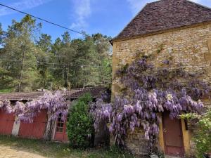 Maisons de vacances Beautiful house with heated pool : photos des chambres