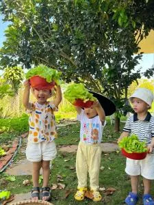 Homestay Vườn Trái Cây Nhiệt Đới VÔ ƯU GARDEN - Tang Jran Dring