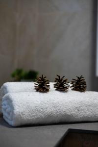 Vanagupes Park Apartments, By Cohost