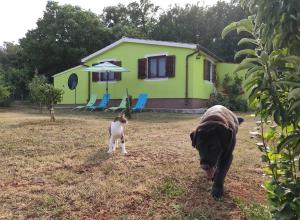 Kuća za odmor TRI SUNCA