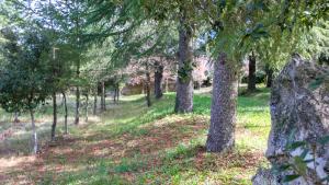 Villa con 3 Camere da Letto