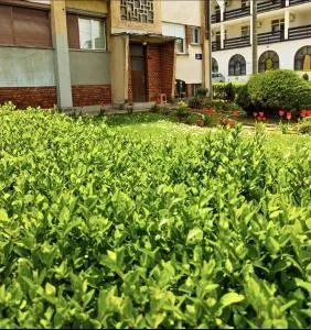 Apartman Mali Raj Rudnik II - Mutanj