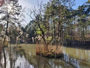 Appart'hotels Domaine de Charnay Villegiature Sologne : photos des chambres