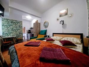 Studios Republicii Brasov