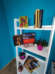 Boias place - skyline Timisoara