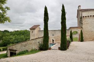 Maisons de vacances Chateau de Pleneselve : photos des chambres