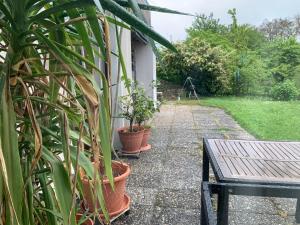 Ferienhaus Brenda
