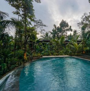 Daydream Lodge Tegallalang