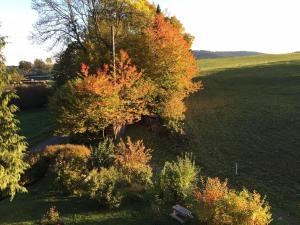 Ferienwohnung im Hambach
