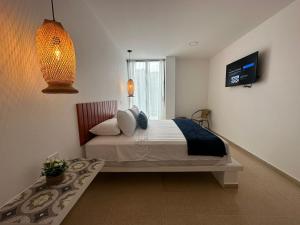 Aloja-T Hispania, Ant