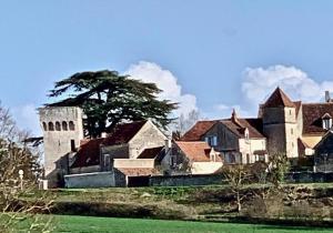 Maisons de vacances Les Gites de la Foret : photos des chambres