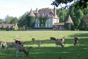 Maisons de vacances Les Gites de la Foret : photos des chambres