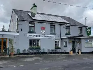 Prince of Wales inn - 特里迪格