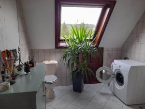 Appartements Gite Le Jardin de Hermolsheim. Alsace tres spacieux : photos des chambres