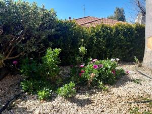 Dilly Home Holiday-Casa vacanze