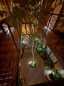 Villa Andorinha -Apto01