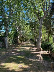 Maisons de vacances SCI Domaine Saint Martin le grand : photos des chambres