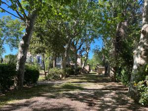 Maisons de vacances Domaine Saint Martin le grand : photos des chambres