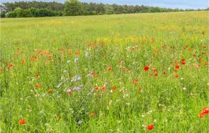 1 Bedroom Nice Apartment In Rechlin