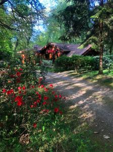 Chambre d hôte txaleta (le Chalet)