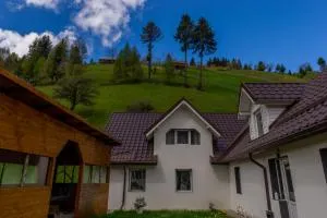 Vila Rustica - Мойечу-де-Сус