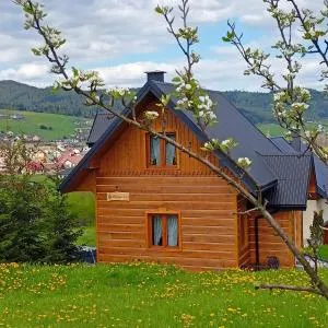 Domek u Stolarza - Hałuszowa