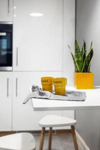 APARTAMENT przy Parku Zdrojowym