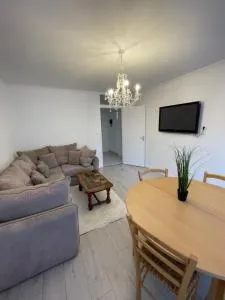 Grand appartement Annemasse - 韦特拉蒙图