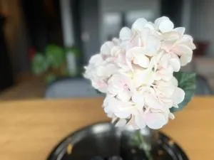 TB Apartments - 瑟伊藻克罗屈尔