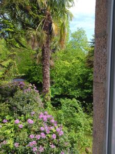 Maisons de vacances Le Presbytere, Cotentin, Val de Saire, Fermanville, proximite immediate mer et foret : photos des chambres