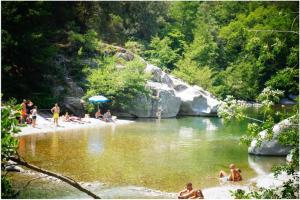 Maisons de vacances Anduze Gite Les Lauriers au 