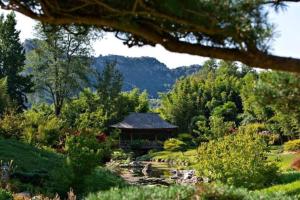 Maisons de vacances Anduze Gite Les Lauriers au 