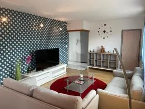 Entier Big Appartement - Castelnau-de-Lévis