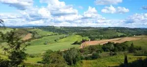 Sunrise Apartment - Montecchio