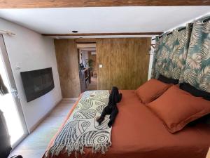 Appartements Le Chalet de Lou : photos des chambres