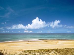 Studio cosy proche océan et commerces, parfait pour des vacances à deux! - FR-1-239-437