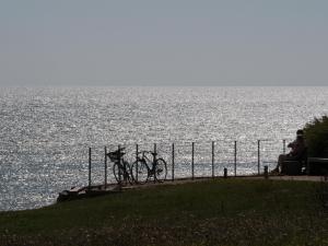 T2 agréable aux Sables - Face mer, proche plage & commerces, balcon, animal admis - FR-1-92-629