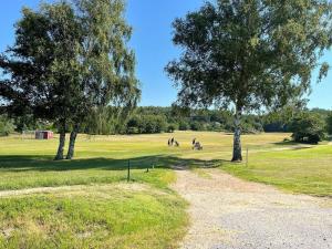 5 person holiday home in STILLINGSÖN-By Traum