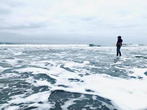 Aiguemarine - Vue Mer & Fort - Confort & Evasion