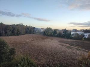 Departamento estudio 810