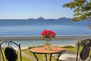 Gorgeous Harbourside