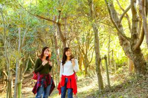 Ooedo Onsen Monogatari Kimitsu no Mori