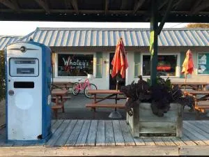 The Jungle House - 埃迪斯托艾兰