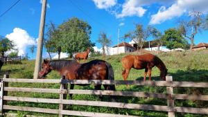 Poljoprivredno turističko domaćinstvo Degurić